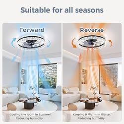 Mcestna Flush Mount Black Ceiling Fans with Lights