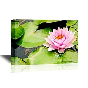 Canvas Wall Art - Lotus Flower in a Pond - Gallery Wrap Modern Home Art | Ready to Hang - 12x18 inches