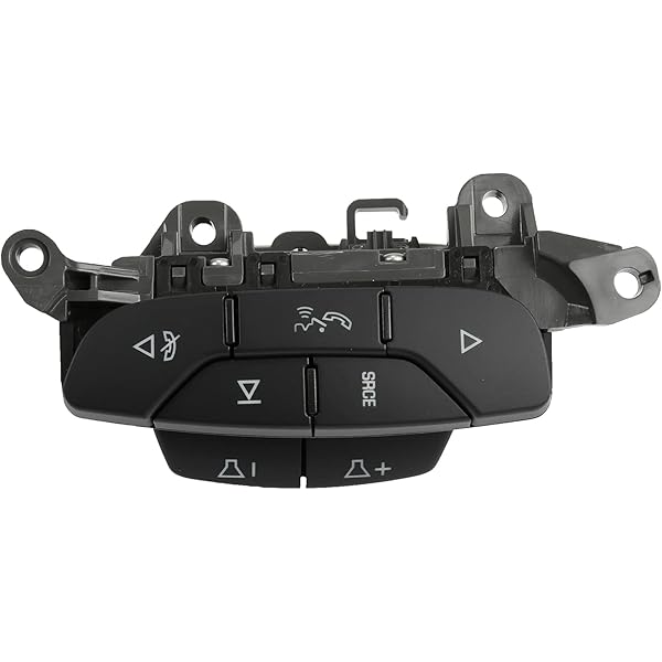 Amazon.com: GM Genuine Parts 39038550 Jet Black Radio Control  