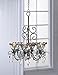 Accent Plus Zingz & Thingz Enchanting Collection Candle Chandelier, 10.25x10.25x12.75, Midnight Blooms