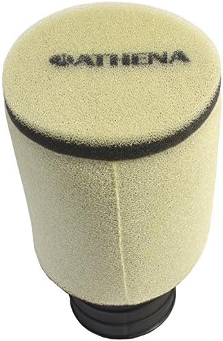 Athena (S410210200030) Air Filter