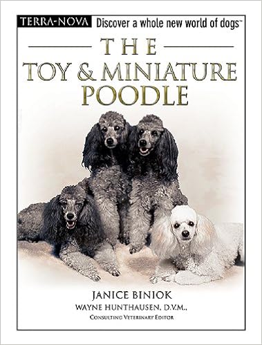 The Toy & Miniature Poodles (Terra-Nova) �n�[�h�J�o�[  - 2006/6/15