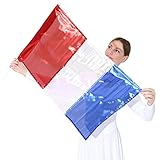 Danzcue Metallic Praise Flag with Rod