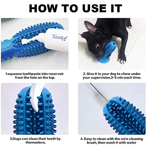 dog toothpaste chewy