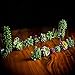 SEEKO Artificial Succulents - 14 Pack - Create Realistic Succulent Arrangements, Faux Potted Succulent Decor, and Fake Succulent Planters for Your House or Apartment