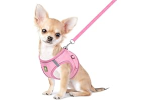 FEimaX Dog Harness and Leash Set, No-Pull Breathable Soft Mesh Puppy Vest Harness Reflective Adjustable Pet Harnesses for Sma