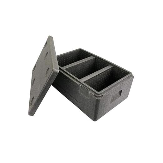 LIYANBWX - Nevera portátil de Espuma EPP (34 L, con asa, para ...