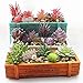 CEWOR 10pcs Mini Artificial Succulents Different Kinds for Plants Wall Decoration DIY Materials