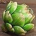 Li Hua Cat Artificial Artichoke Vegetables Wedding Party Home Decor Set of 6 (Large, Green)