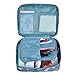 Cherry Roll Clear Cosmetic Makeup Bag Toiletry Travel Kit Organizer (flower printing sky blue)