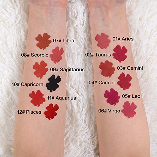 12Pcs Astrology Matte Liquid Lipstick Set Long Lasting Waterproof Red and Black Lip Gloss Makeup