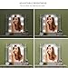 MINGER Hollywood Style Vanity Mirror Lights, 8 Dimmable LED Light Bulbs Kit Lighting Fixture Strip for Makeup in Bathroom Dressing Room (Mirror Not Included)