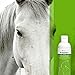 VetOne - KetoHex Antifungal & Antibacterial Veterinary Formulated Shampoo for Dogs, Cats, Horses, 16 oz