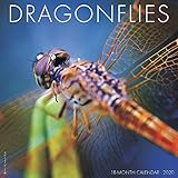 Dragonflies 2020 Wall Calendar by