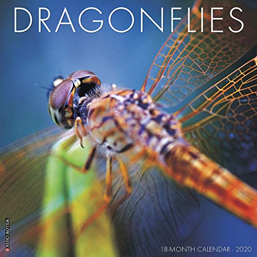 Dragonflies 2020 Wall Calendar by