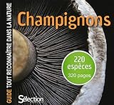 Guide tout reconnaître dans la nature by