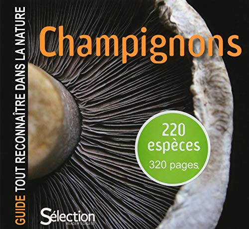 Guide tout reconnaître dans la nature by (Paperback)
