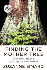 Finding The Mother Tree Discovering The Wisdom Of The Forest Random House Large Print Simard Suzanne 9780593459423 Amazon Com Books