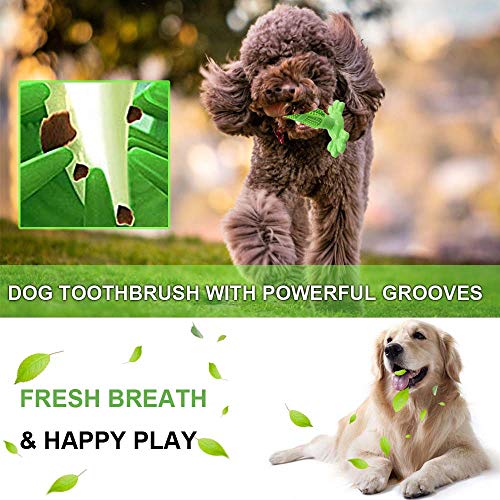 AomeTech Dog Toothbrush Dental Care Brushing Stick Effective Doggy Teeth Cleaning Massager Nontoxic Natural Rubber Bite Resistant Chew Toys Finger Toothbrush for Dogs Pets (M, Green)