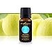 Bergamot Essential Oil - 100% Pure, For Professional Aromatherapists (for Home Use, see Warnings) 15 ml