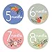 Design Corral Floral Monthly Stickers For Baby - Baby Monthly Stickers - Baby Girl