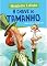 Livro A Chave do Tamanho