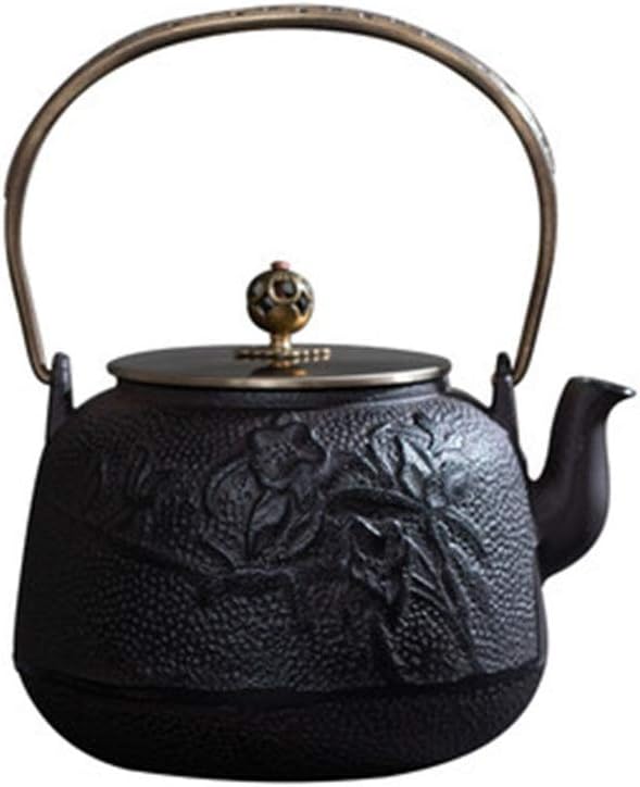 Teapot 19X25cm Cast Iron Teapot Chinese Flower Pattern Teapot-Convenient System Chinese Tea Pot,Black (Color : Black, Size : 19x25cm)
