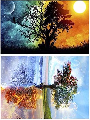 2 Pack DIY 5D Diamond Painting Kits Full Drill Diamond Paint by Number for Adults Kids,Diamond Rhinestone Crystal Painting Kit Art Craft for Home Wall Decor