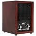 Best Choice Products Living Home Office Ionic Air Purifier Ozone Ionizer Cleaner for Fresh Clean Air - Brown