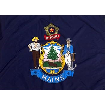 1901-1909 Bandiera Originale Dello Stato Del Maine 3 X 5 - Foto 5