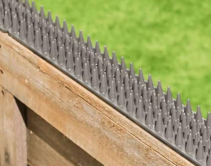 Primrose Fence Spikes - Cat Garden Wall Security Anti Climb Detterent Spike Strips - Khaki Grey - Pack of 8