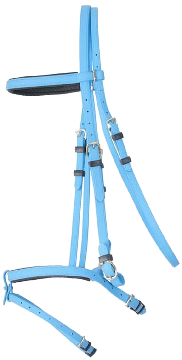 TdeT Biotack Horse Bridle, sky blue, CHEVAL