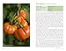 Veg Patch: River Cottage Handbook No.4
