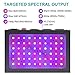 MAXSISUN 600W LED Grow Light, Full Spectrum LED Grow Lights for Indoor Plants Veg and Flowering, Hydroponic Growing System Plant Growing Lamps to Cover a 2x2ft Flower Area (60pcs 10W LEDs)thumb 3