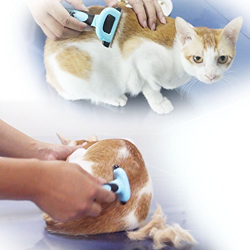 4 petgle+Shedding+Deshedding+Undercoat+Grooming