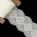 LaceRealm 3 Inch Wide×10 Yards Stretch Floral Pattern Lace Ribbon Trim Lace for Headbands Garters & Crafts 5508 (White)