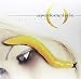 Thirteenth Step [Vinyl] primary