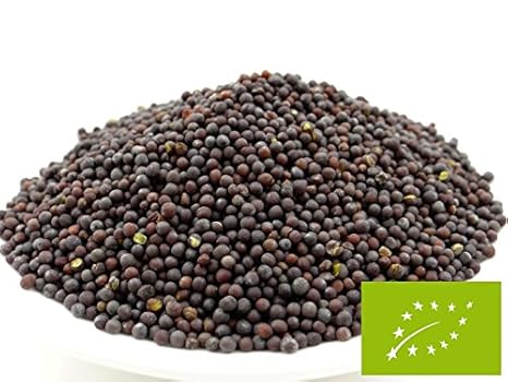 pikantum Bio Senfsaat braun | 100g | Senfkörner | Senfsamen