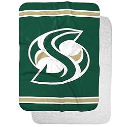 Sacramento State University Primary Logo Stripes