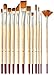 Studio Series Artist's Paint Brush Set (12 highest quality nylon brushes)