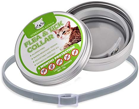 homemade flea collar for cats