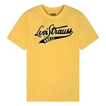 Levi's Big Boys' Graphic T-Shirt, Misted Yellow Snow Yarn, S