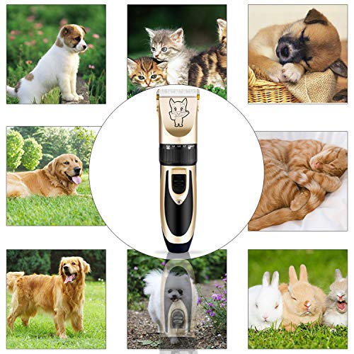 Dog Grooming Kit Clippers, Low Noise, Electric Quiet, Rechargeable