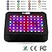LED Grow Light 300 Watt Hydroponics System,Full Spectrum Greenhouse Garden Indoor Plants Grow Lights Lighting Fixture,High Par and Penetration for Veg and Flower (300W)