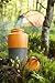 Light my Fire Collapsible Pack-Up Water Bottle, Orange