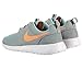 Nike Women's Roshe One Running Shoe