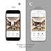 Surveillance Wifi Security Home Camera - 720P Wireless Indoor Baby Camera No Monthly Cost, Including Live View, Night Vision, Motion Detection and 2-Way Audio for Home Monitor with Micro SD Card Slot