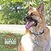 Best Bully Sticks American Pride 6 Inch All-Natural, Odor-Free Braided Bully Sticks - 100% sourced and Made in USA at GFSI Certified Facility, Pack of 6