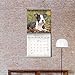 Boston Terrier Calendar 2020 - Dog Breed Calendar - Wall Calendar 2019-2020