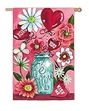 Valentine XOXO Garden Flag